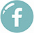 Facebook button